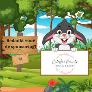 BEDANKT VOOR DE SPONSORING- celestine v2